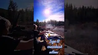 Type 81 spl Action #rifle #shorts #type81 #ak #canashnikov #type81m #type81lmg