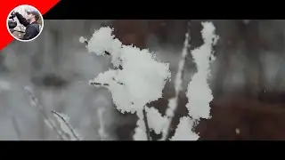 Snow Motion - Panasonic GH5 180fps