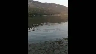 Улов на сом на язовир Ивайловград
