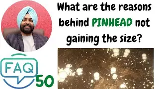 FAQ 50 #What are the reasons behind PINHEAD not gaining the size?