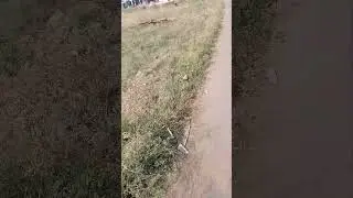 44 cents land for sale in Salem, contact 9994940849