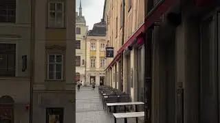 Alumni gathering in Austria#austria #linz #gathering #alumni #strolling #weekendvibes #springdiaries