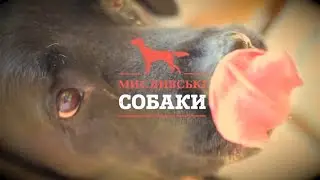 🏆 Чемпіонат світу з Курсінгу (2025) | Частина 2 ▶ Мисливські собаки №111 ▶ Трофей
