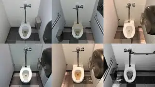 Abandoned Macy's Women's Restroom with Water On