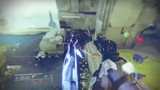 Silly Hunter Gets Confused By My Gemini Jesters