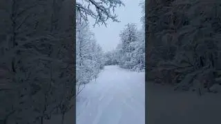 Slalom p&aring; langrennsski. ⛷️💪