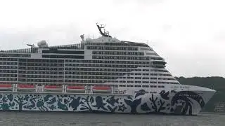 MSC Euribia 2025 Port of Kiel Cruise ship - Kreutzfahrtschiff