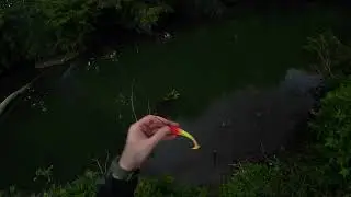 ВЫХОД ЩУКИ