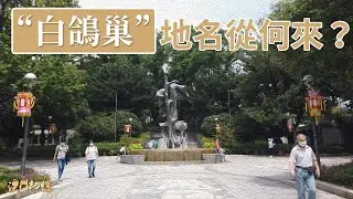 “白鴿巢”地名從何來？