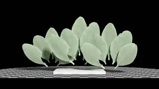 Buxus (Buxus Sempervirens) leaves. SideFX Houdini, Karma XPU, MaterialX