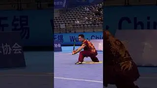 Wang Di/Ван Ди/Wushu Taolu/Спортивное Ушу #wushu #ушу #kungfu #taolu #nanquan