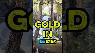 Panning 𝐆𝐎𝐋𝐃 under a Hidden Waterfall Oasis in Perth Hills ✨️ #goldprospecting #adventure #outback