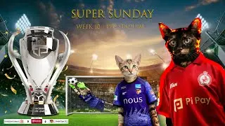 Funny Cat Playing Football  | Cutest Kitten Skills Ever! Part 2
