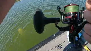 Bigmouth Buffalo 38.42 Lbs 20231003