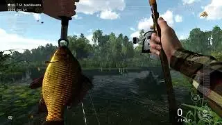 FishingPlanet   Dnipro River   Unique Crucian Carp