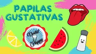 Papilas gustativas