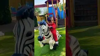 Zebra Ride 🙊 #shorts #viralshorts #ytshorts #fyp