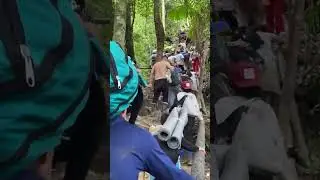 Panama 🇵🇦 jungle crossing | panama jungle food #donkey #mexicoborder #punamajangal
