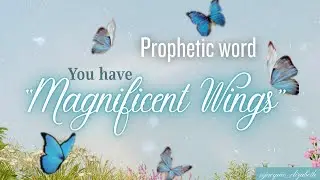 🦋🩵 