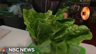 Parasite outbreak linked to lettuce spreads across U.S.