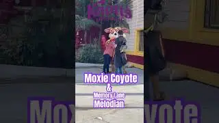 MOXIE COYOTE & MEMORY LANE MELODIAN #shorts