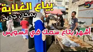 جولة بميدان الأربعين في السويس عند بياع الغلابة للأسماك الشعبية 🐟 أحسن وارخص سمك مع #ملكة_البحريات