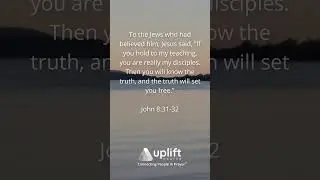 TRULY FREE? | Daily Devotional | John 8:31&ndash;32