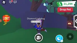 Adopt me NEW LADY BUG & New Map! Update  #snownekoberry #adoptmeroblox #adoptmeladybug #ladybug
