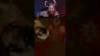 Pug Screaming Gone Wrong: Hilarious Reaction !! #funnypug #reactionvideo #newyoutuber