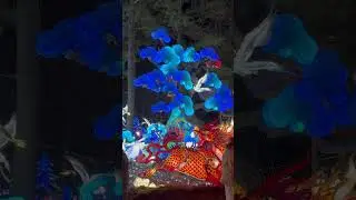 Enter the Dragon 🐉 , lantern festival, part two