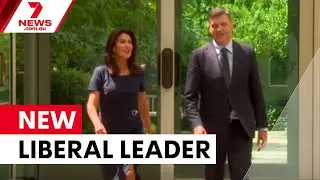 Angus Taylor wins Liberal leadership as Sussan Ley quits politics | 7NEWS