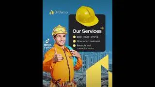 Dr Damp, we're based in Barnsley, we help get rid of dampness, penetrating damp and black mould.
