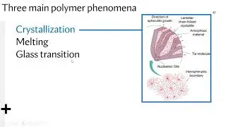 QMUL EMS430U - Polymer Structures Lecture 5