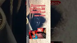 ABBA + Kitty Surprise￼