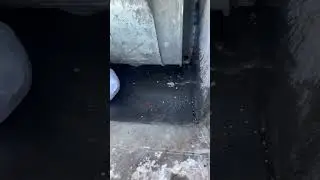 Garbage truck eats ca$h money 💵 cause of inflation? 🤑🤑🤑🚛🚛