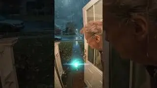 Evil cat attacks poor grandma  #ai #cat #viral