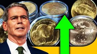 Incoming Treasury Secretary Just Said THIS About Gold!