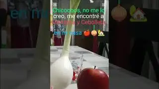 Manzana y cebolleta 🍎🧅🍎🧅
