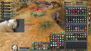 #globalaion Gelmaros Elyos Siege PvP  POV: Obviously don't need +1 from the Asmodian faction