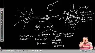 Plasticity - Synaptic Transmission and Synaptic Strength #ch17sp #swayamprabha