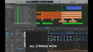Performance Samples Pacific Percussion, World Studio Percussion and Vista II Demo