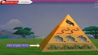 STD 10th Science 2 Lesson No. 4 Environmental Management Part-1
