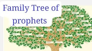 25 Prophets name from Hazrat Adam to Hazrat Muhammad mustafa tak 