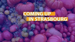From waste packaging to organic food: coming up in Strasbourg