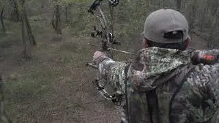 Small Town Quick Hunt | Tara Wildlife Special