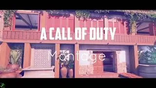 Black Ops 4 Montage: Presented by NST Phantom