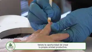 T&eacute;cnico en Cuidado Est&eacute;tico de Manos y Pies