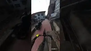 🐕 💀 See my POV with the #insta360 X4 by @insta360