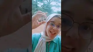 قصة شجرتي سلطان وسلطانة