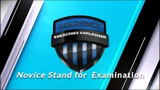 AKC Obedience Novice Stand for Examination
